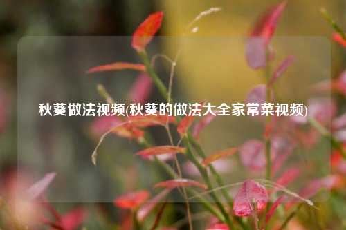 秋葵做法视频(秋葵的做法大全家常菜视频)
