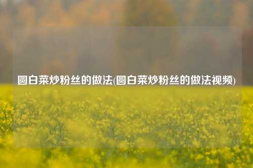 圆白菜炒粉丝的做法(圆白菜炒粉丝的做法视频)