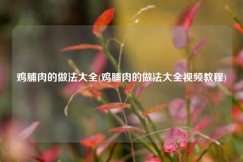 鸡脯肉的做法大全(鸡脯肉的做法大全视频教程)
