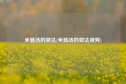 米肠汤的做法(米肠汤的做法视频)