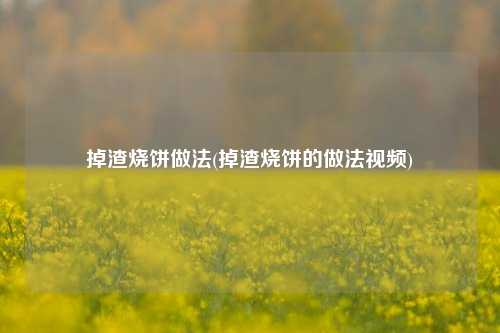掉渣烧饼做法(掉渣烧饼的做法视频)