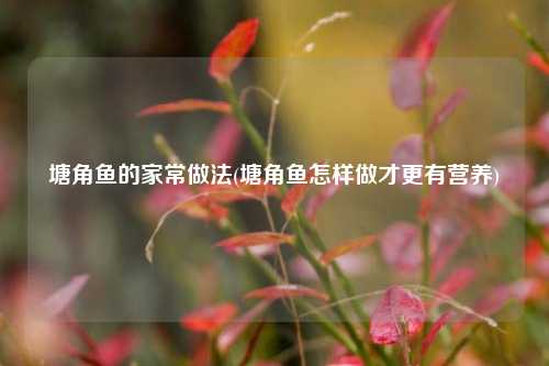 塘角鱼的家常做法(塘角鱼怎样做才更有营养)