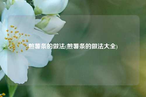 煎薯条的做法(煎薯条的做法大全)