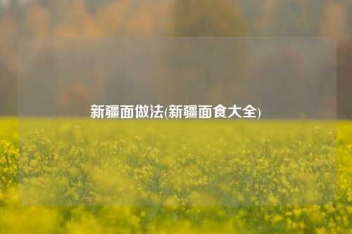 新疆面做法(新疆面食大全)