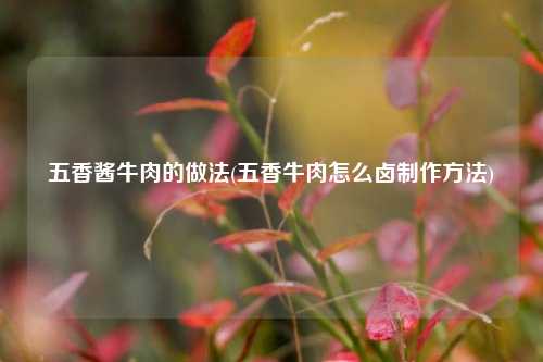 五香酱牛肉的做法(五香牛肉怎么卤制作方法)