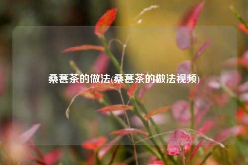 桑葚茶的做法(桑葚茶的做法视频)
