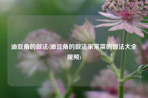油豆角的做法(油豆角的做法家常菜的做法大全视频)