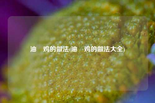 油焗鸡的做法(油焗鸡的做法大全)