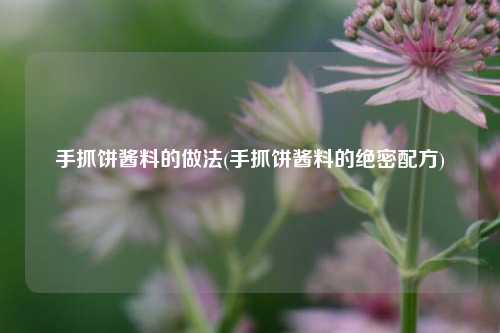 手抓饼酱料的做法(手抓饼酱料的绝密配方)