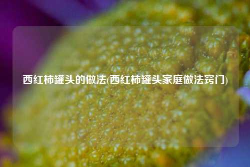 西红柿罐头的做法(西红柿罐头家庭做法窍门)