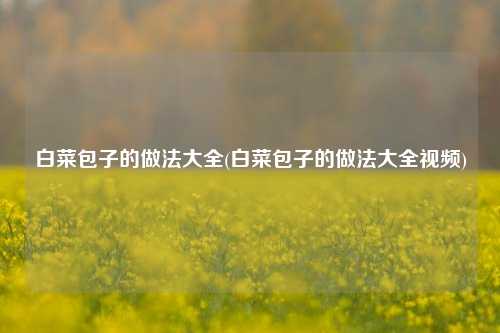 白菜包子的做法大全(白菜包子的做法大全视频)